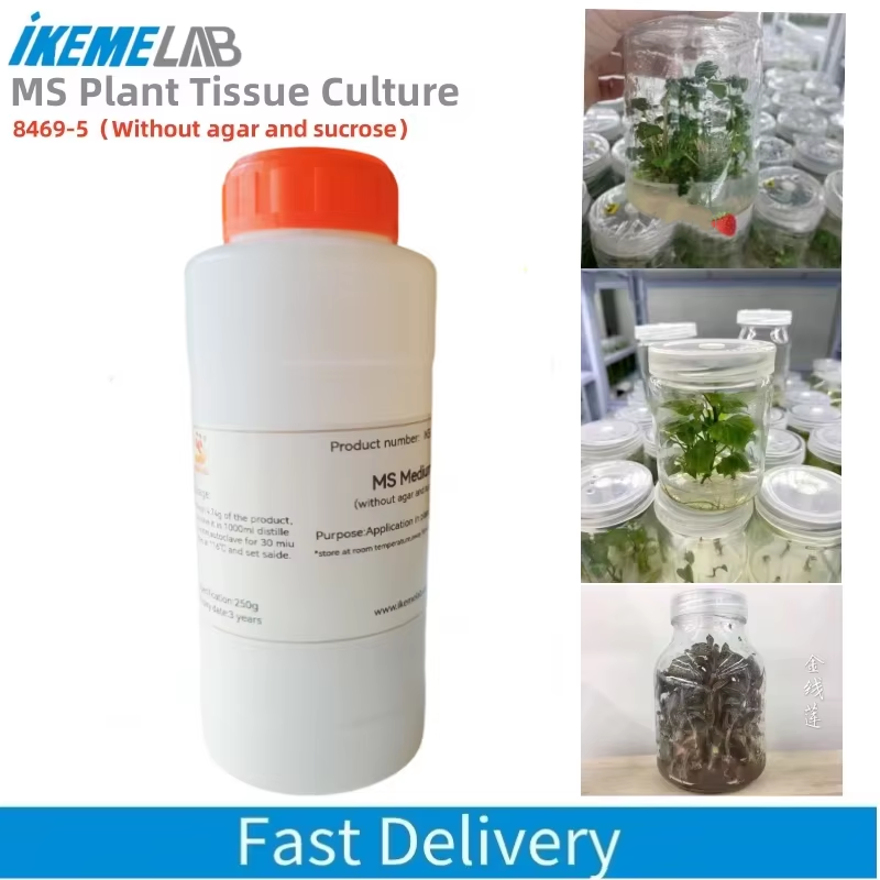 Tissue Culture Plant - IKEME 250g Lab MS Medium Agar