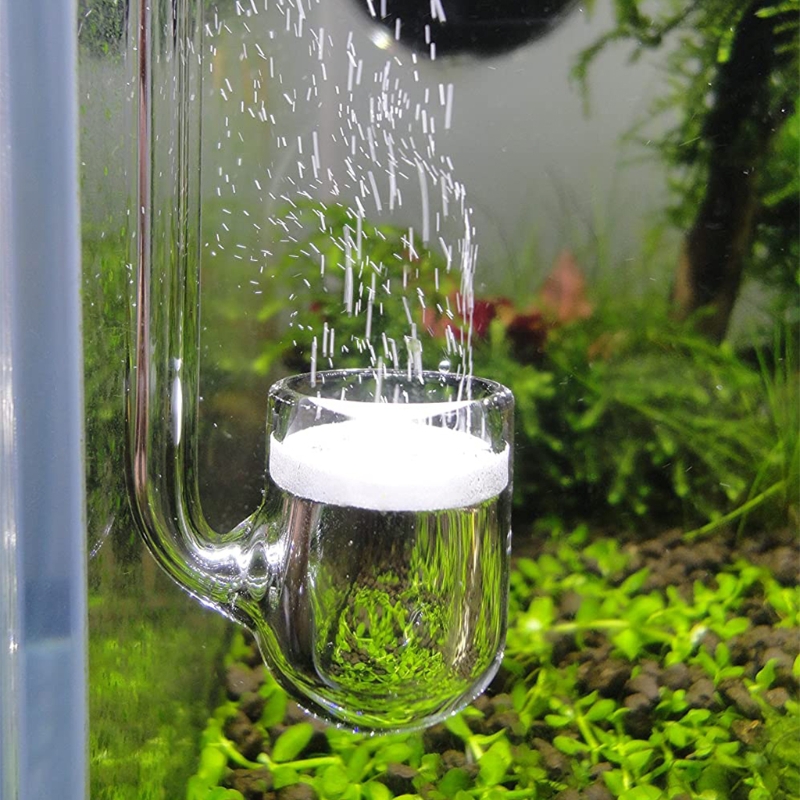 Aquarium Plant No Co2 - Akvaryum için D0AD Cam CO2 Difüzörü