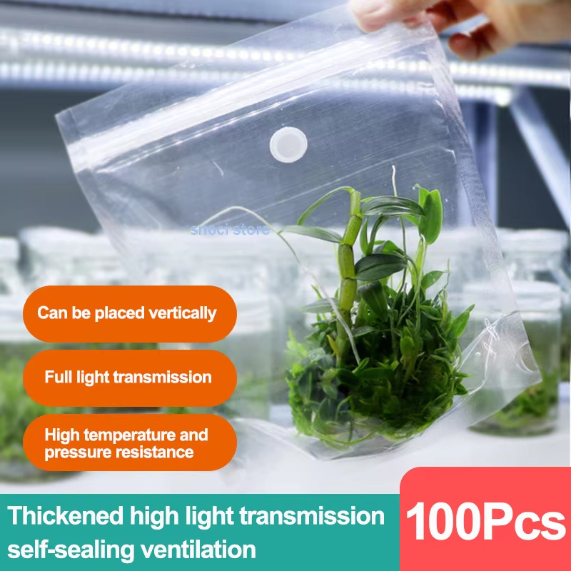 Tissue Culture Plant - Doku Kültürü Sızdırmazlık Filmi, Biyoloji Doku