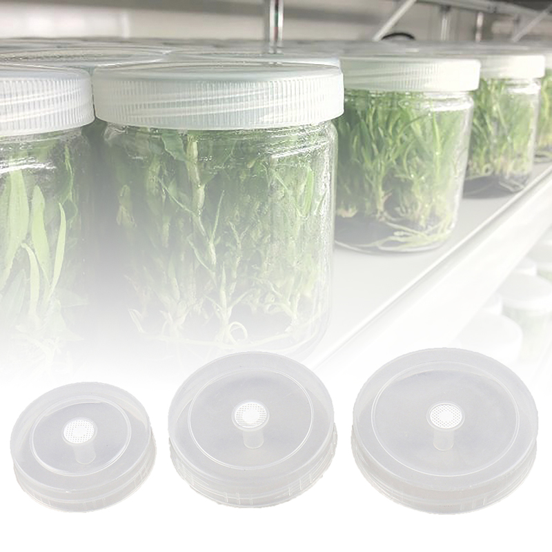 Tissue Culture Plant - 10 adet Doku Kültürü Şişe Kapağı