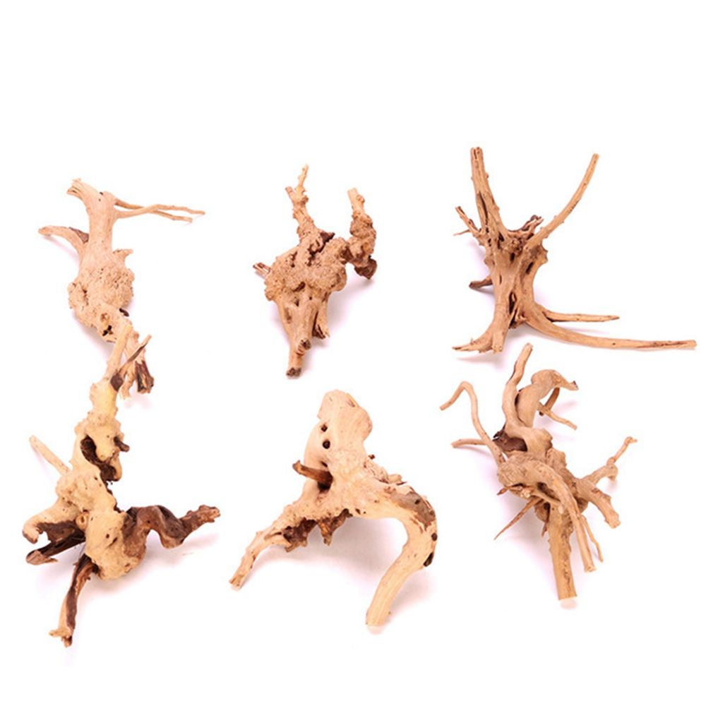 Aquarium Planted Wood - Ahşap N1N Peyzaj Akvaryum Dekorasyonu Sürüngen