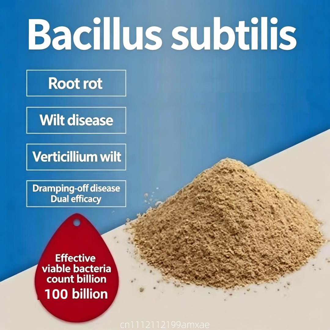 Planted Aquarium Fertilizer - Yüksek Aktiviteli Bacillus Subtilis Tozu Organik