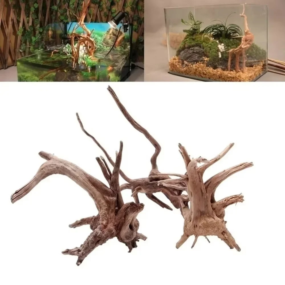 Aquarium Planted Wood - 15-20CM Doğal Kök Ağacı Akvaryum Dekoru