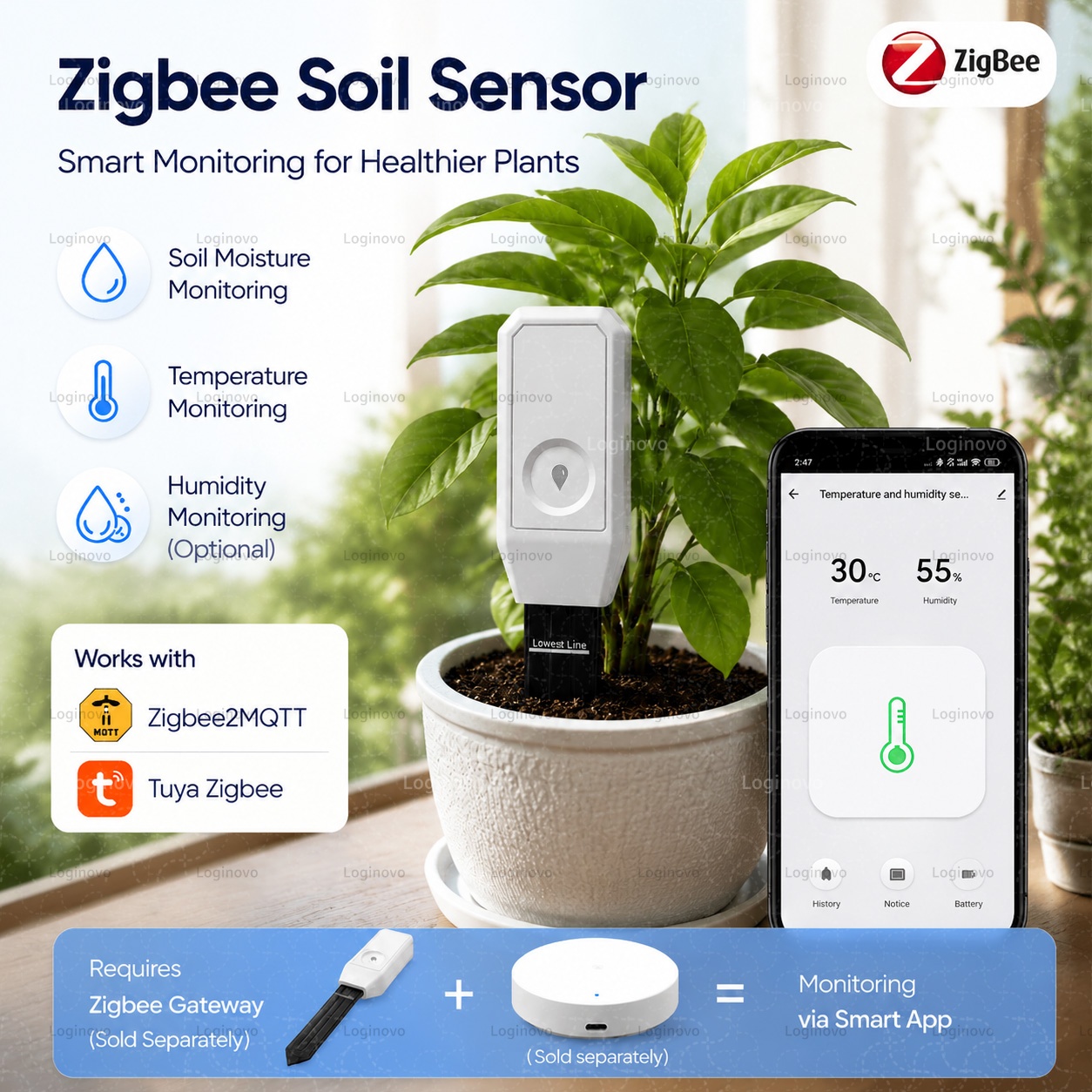 Tissue Culture Plant - Tuya Zigbee Toprak Nem Test Cihazı
