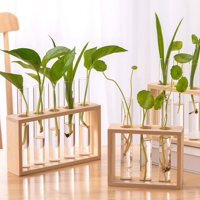Tissue Culture Plant - Topraksız Bitkiler Konteyner Ahşap Çerçeve ile
