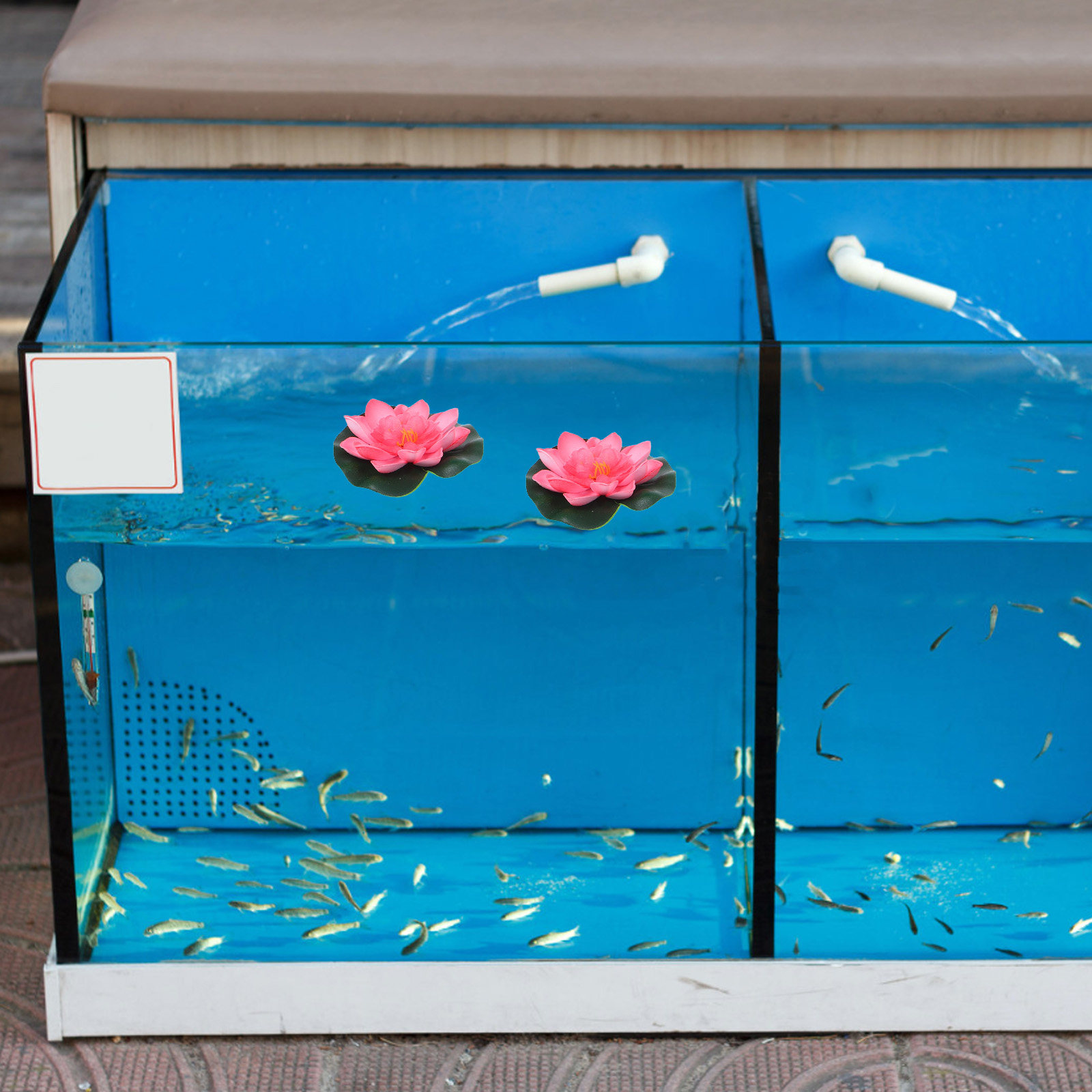 12 Adet Yapay Yüzen Nilüfer Çi - Aquarium Planted Plants incelemesi ve fiyatı