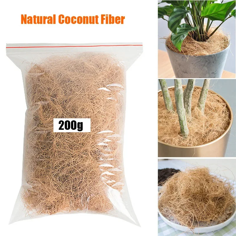 Doğal Hindistan Cevizi Kabuğu  - Tissue Culture Plant incelemesi ve fiyatı