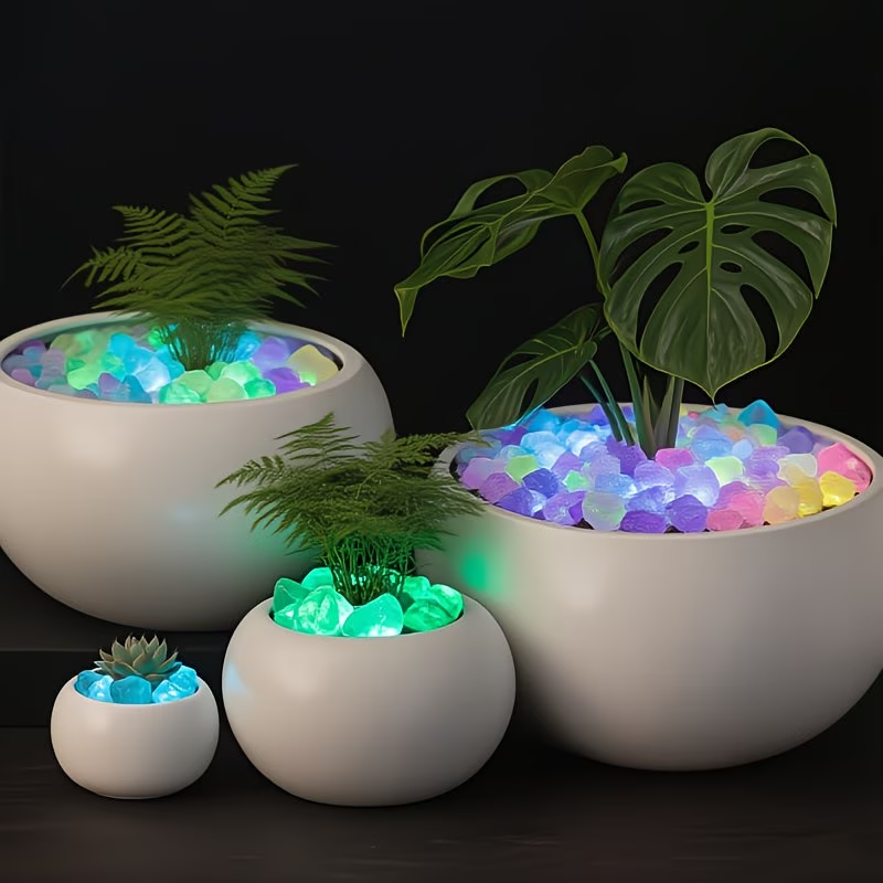 300 adet aydınlık çakıl seti,  - Aquarium Planted Plants incelemesi ve fiyatı