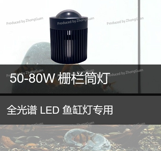 Led Downlight Yosun Bitki Yeti - Aquarium Planted Wood incelemesi ve fiyatı
