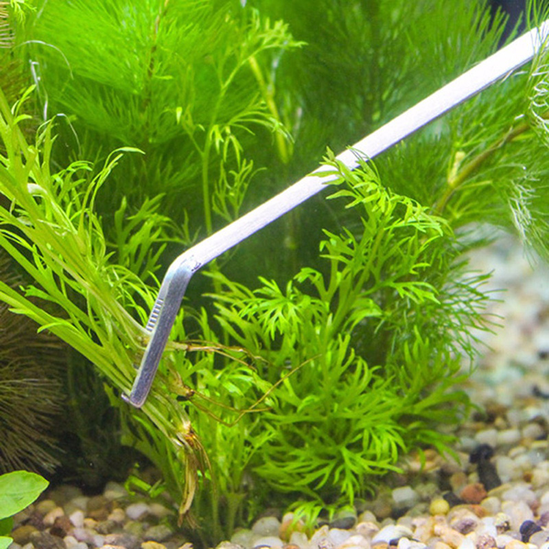 Profesyonel Akvaryum Bakım Ara - Planted Aquarium Maintenance Kit incelemesi ve fiyatı