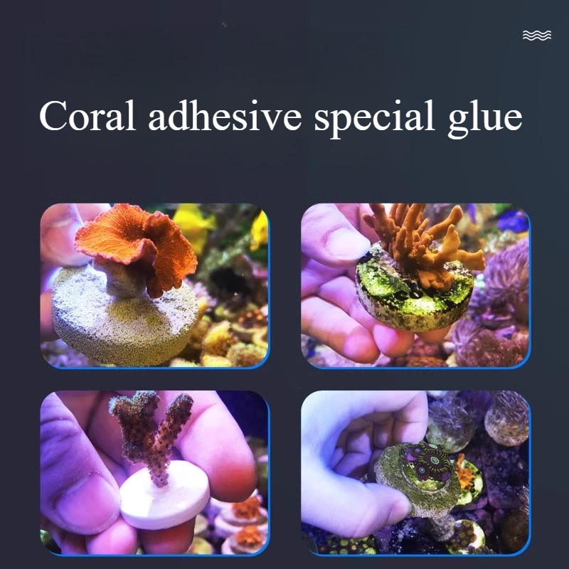 SPS LPS Mercan Kayalığı Frags  - Aquarium Plant Glue Gel incelemesi ve fiyatı