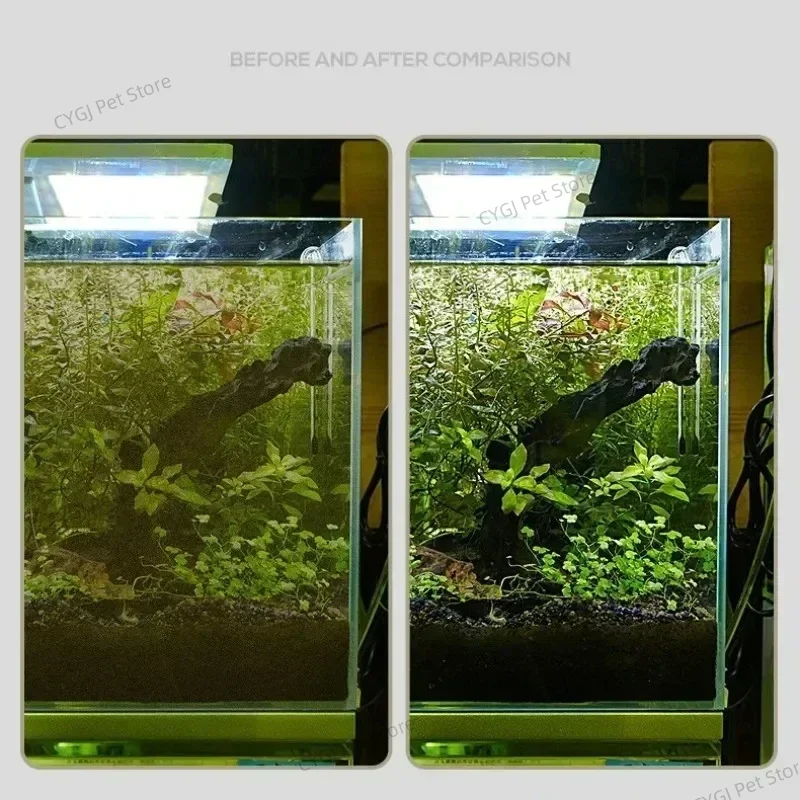 Balık Tankı Temizleme Aracı Dü - Planted Aquarium Maintenance Kit incelemesi ve fiyatı