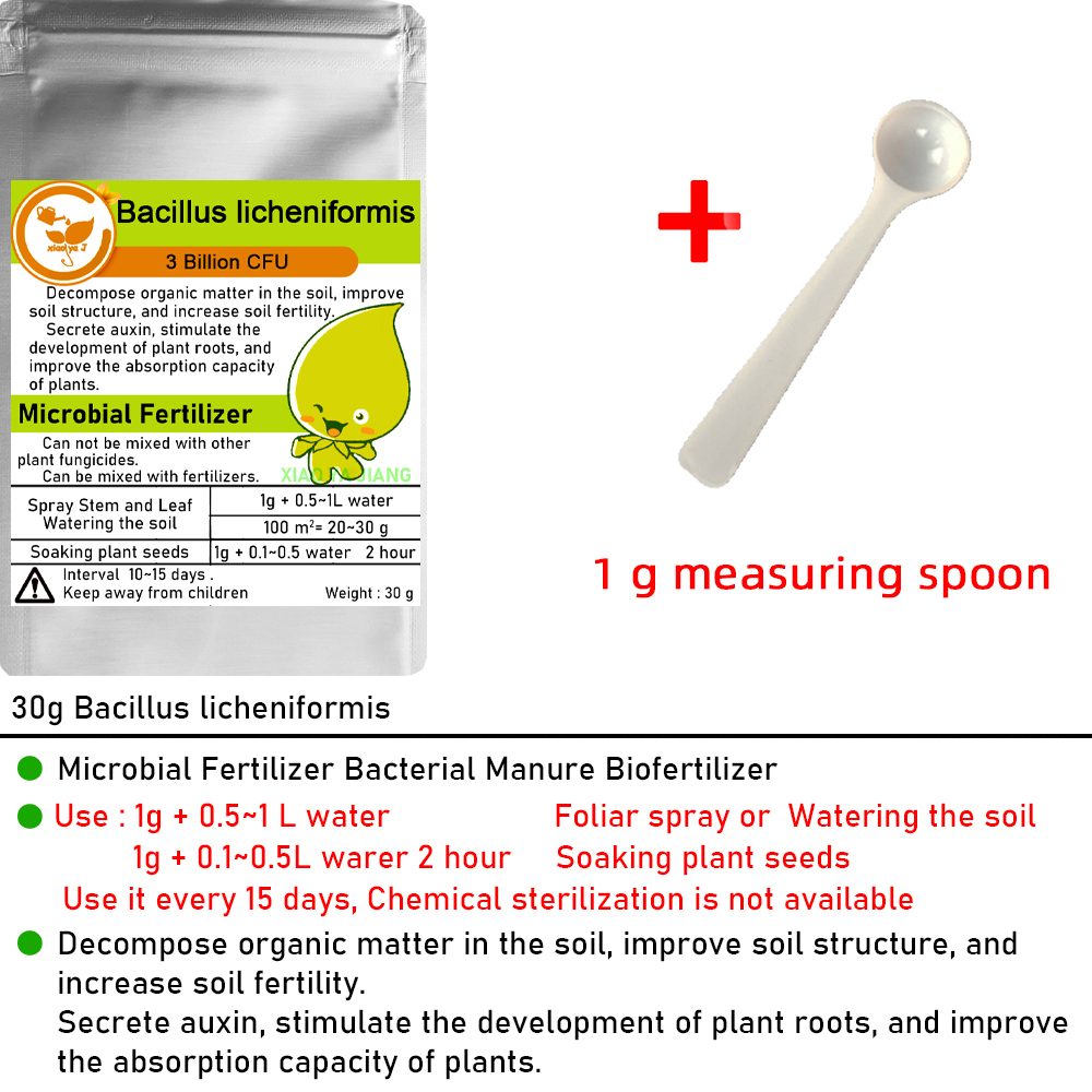 30g Çok Gerilimli Bacillus lic - Tissue Culture Plant incelemesi ve fiyatı