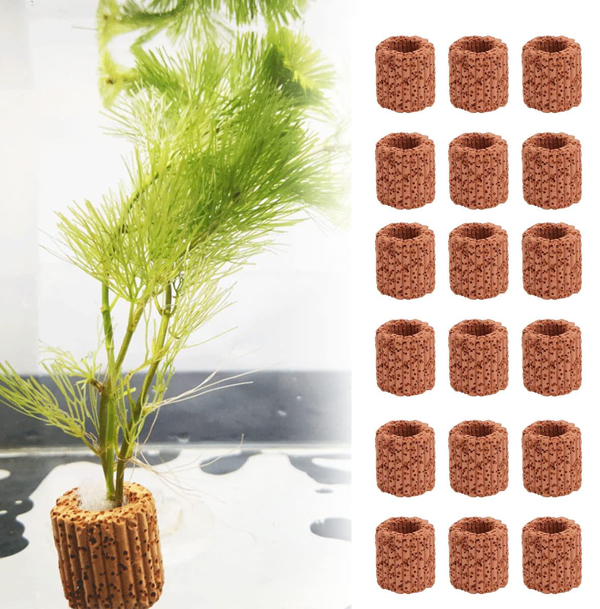 10/20 adet sucul su tesisi sab - Aquarium Plant Design incelemesi ve fiyatı