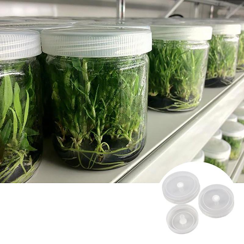 10 adet Doku Kültürü Şişe Kapa - Tissue Culture Plant incelemesi ve fiyatı