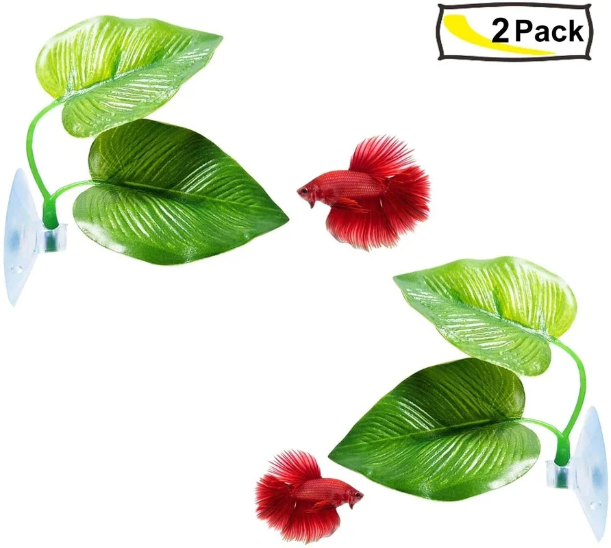 Betta Balık Yaprağı Hamak Bett - Aquarium Plant Design incelemesi ve fiyatı