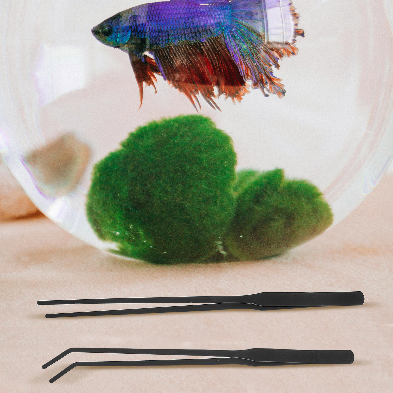 4 adet Akvaryum Cımbızı Paslan - Planted Aquarium Maintenance Kit incelemesi ve fiyatı