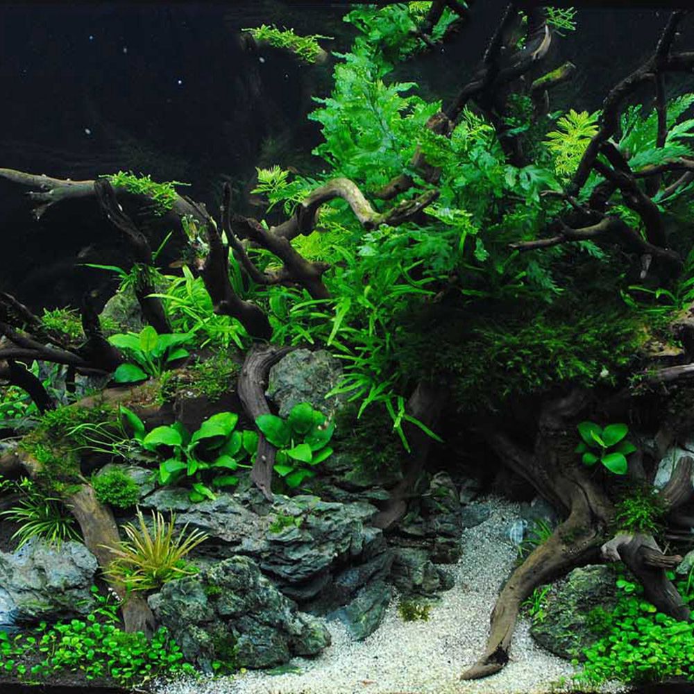 Ahşap N1N Peyzaj Akvaryum Deko - Aquarium Planted Wood incelemesi ve fiyatı