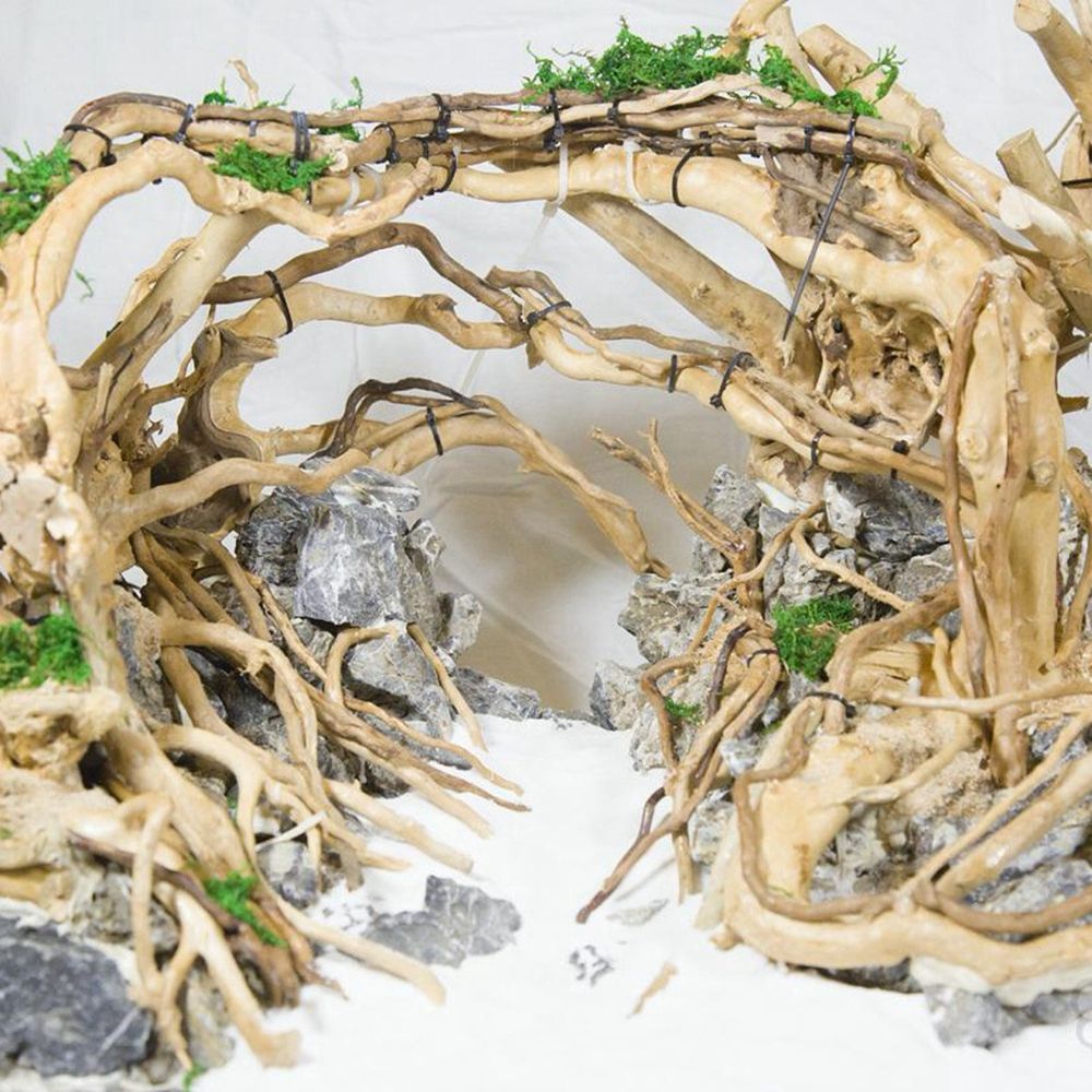 Ahşap N1N Peyzaj Akvaryum Deko - Aquarium Planted Wood incelemesi ve fiyatı