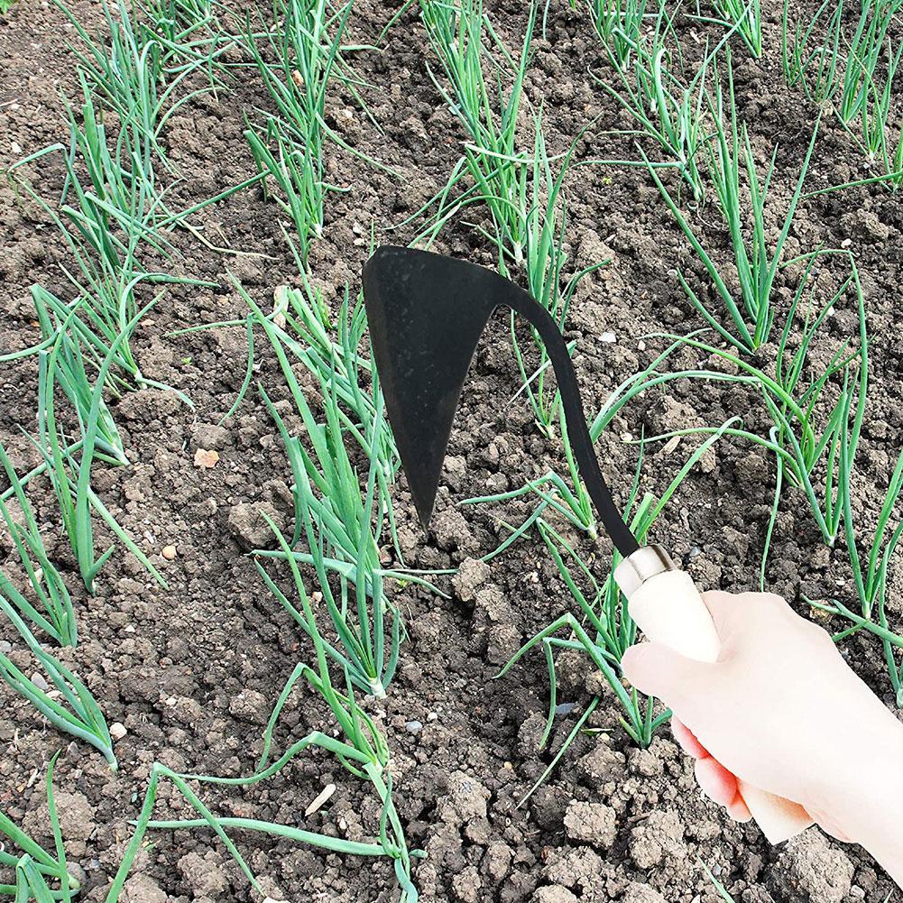 Çiftlik araçları Hoes üçgen Fu - Tissue Culture Plant incelemesi ve fiyatı