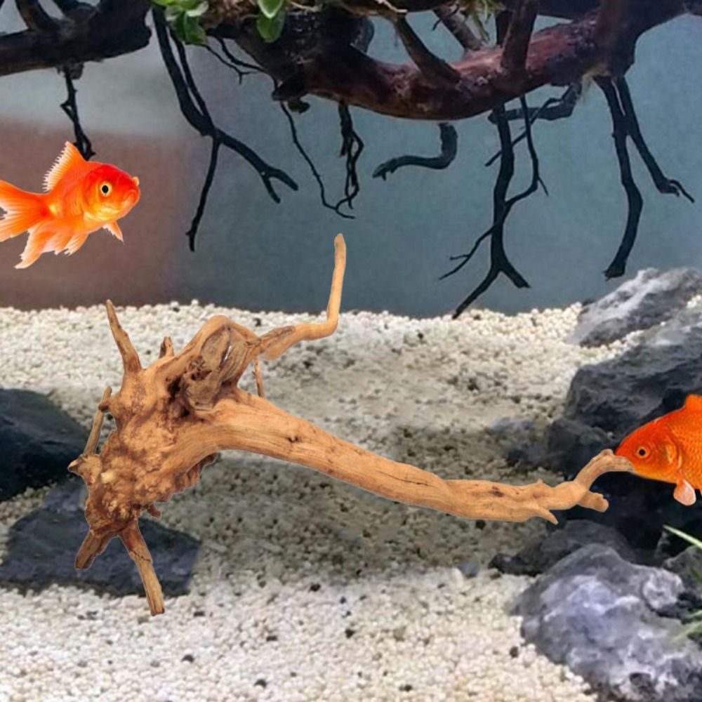 Doğal ağaç gövdesi akvaryum de - Aquarium Planted Wood incelemesi ve fiyatı