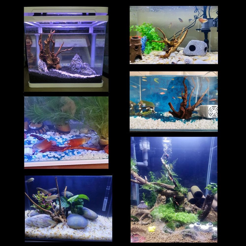 Doğal ağaç gövdesi akvaryum de - Aquarium Planted Wood incelemesi ve fiyatı