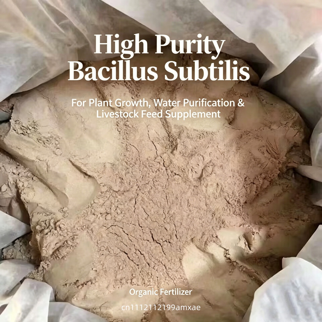Yüksek Aktiviteli Bacillus Sub - Planted Aquarium Fertilizer incelemesi ve fiyatı