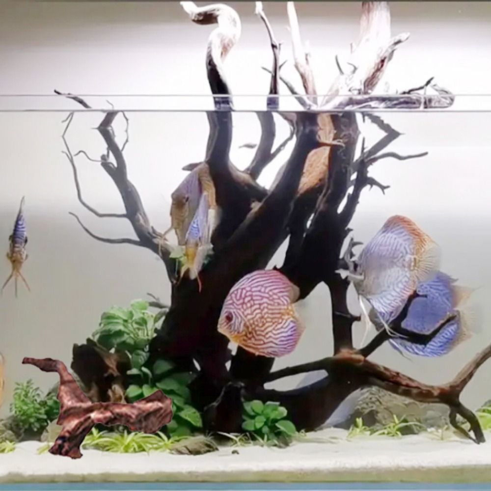 Yaratıcı Düzensiz Şekilli Merc - Aquarium Planted Wood incelemesi ve fiyatı