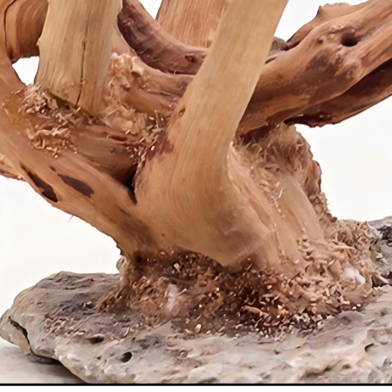 1 adet akvaryum peyzaj ahşap s - Aquarium Planted Wood incelemesi ve fiyatı
