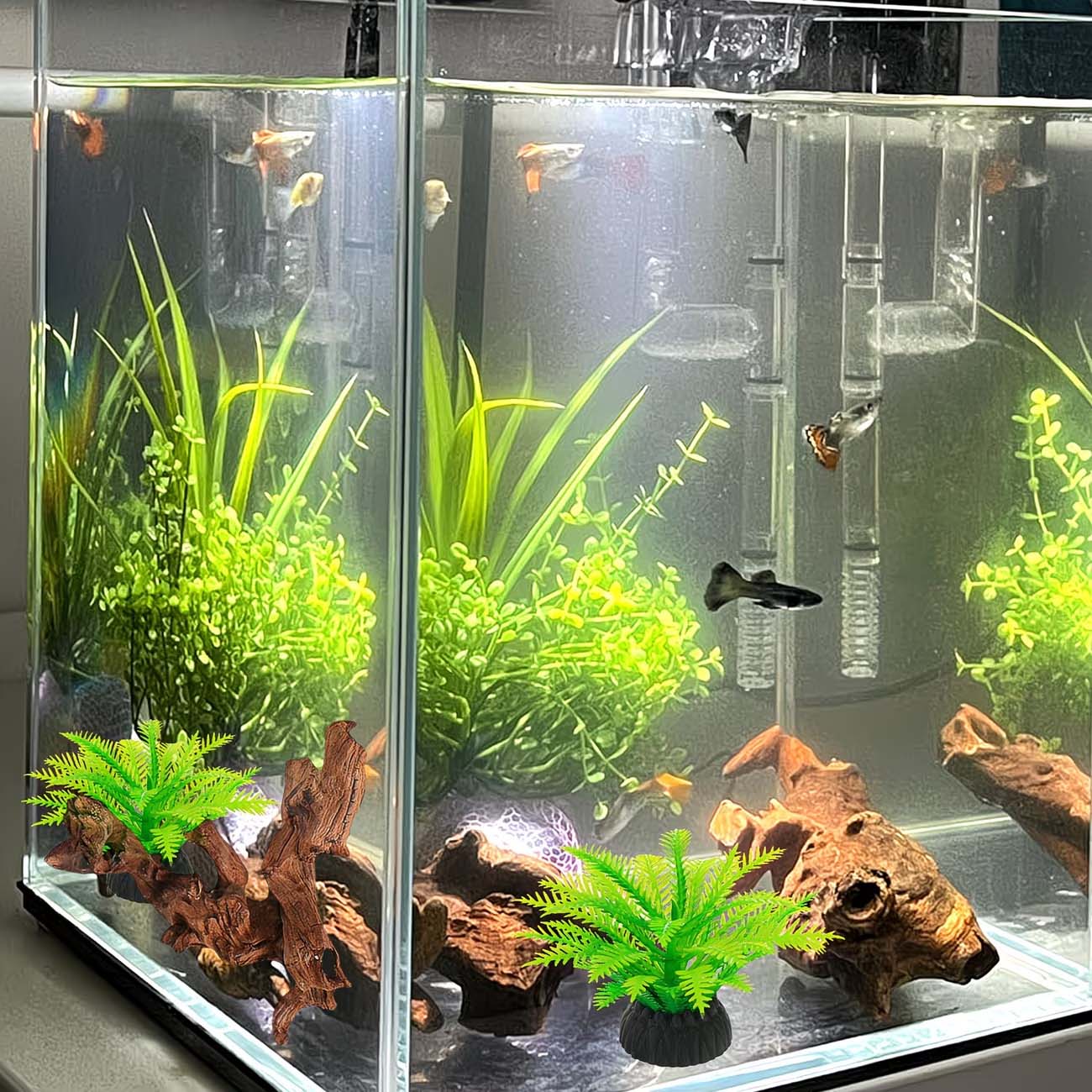 5-10CM Doğal Batan Kökler Akva - Aquarium Planted Wood incelemesi ve fiyatı