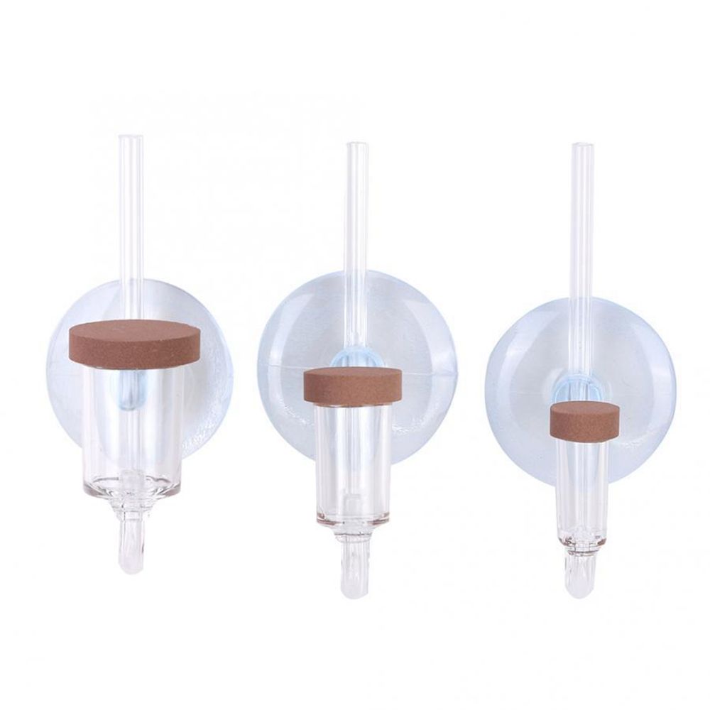 Akrilik Mini Balık Tankı Canlı - Aquarium Plant No Co2 incelemesi ve fiyatı