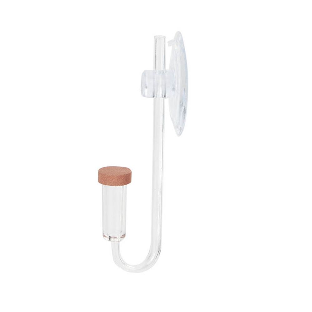 Akrilik Mini Balık Tankı Canlı - Aquarium Plant No Co2 incelemesi ve fiyatı