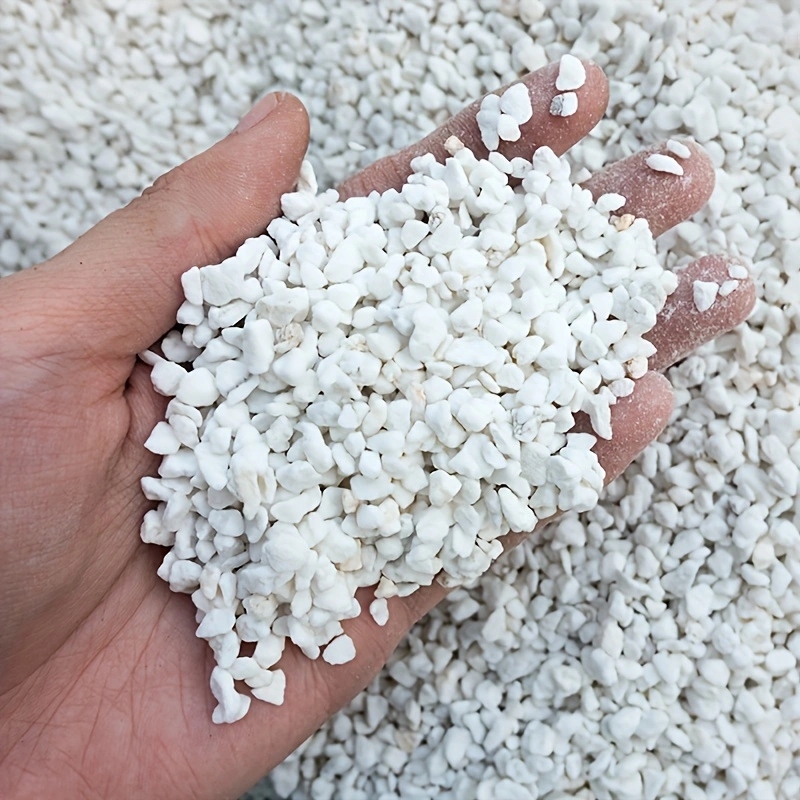 1 Paket 3-6mm Bahçıvanlık Perl - Tissue Culture Plant incelemesi ve fiyatı