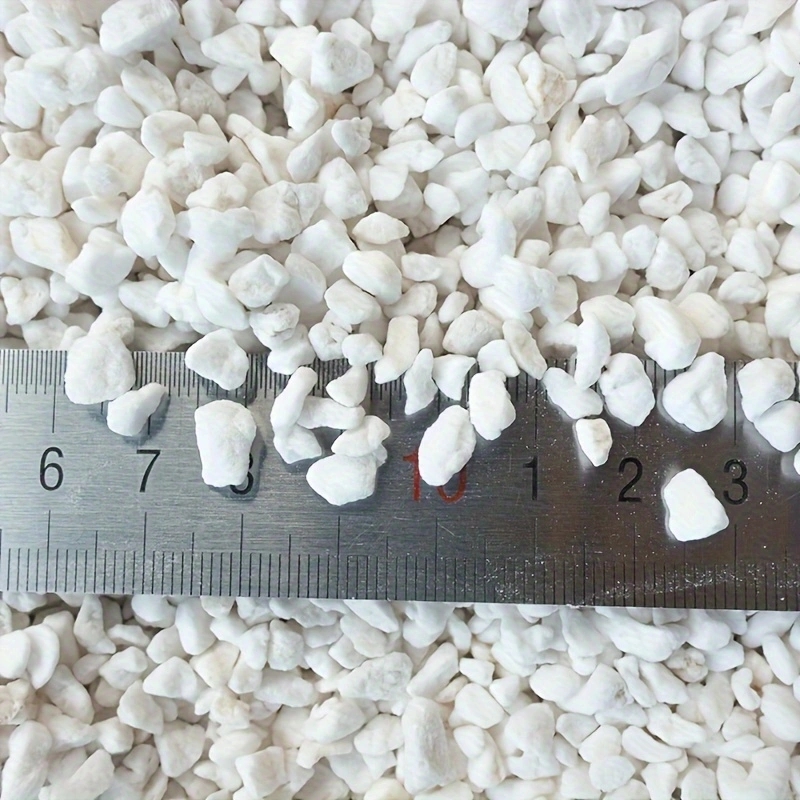 1 Paket 3-6mm Bahçıvanlık Perl - Tissue Culture Plant incelemesi ve fiyatı