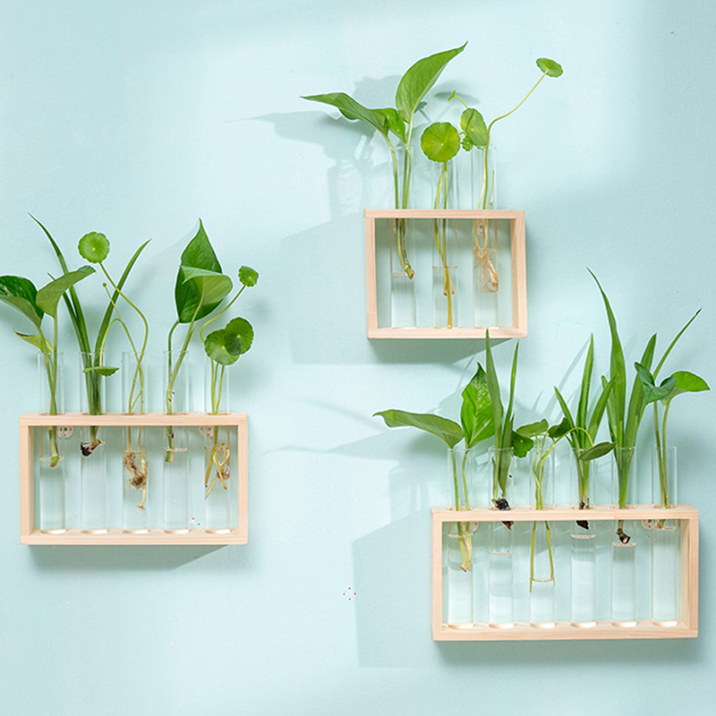 Topraksız Bitkiler Konteyner A - Tissue Culture Plant incelemesi ve fiyatı