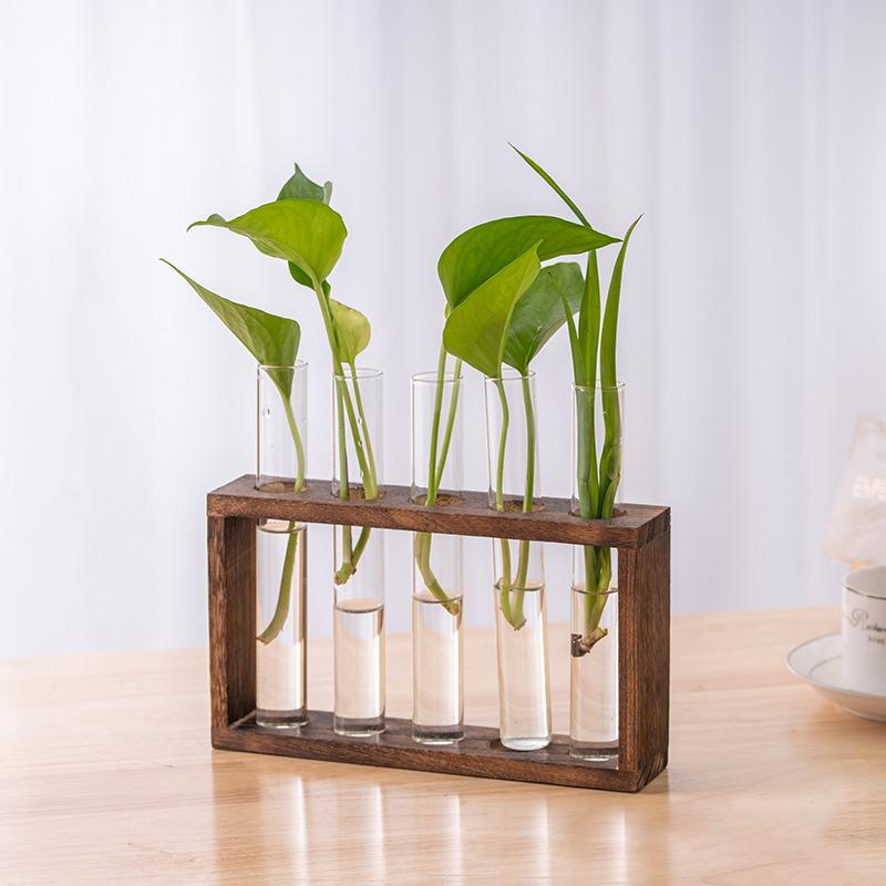 Topraksız Bitkiler Konteyner A - Tissue Culture Plant incelemesi ve fiyatı
