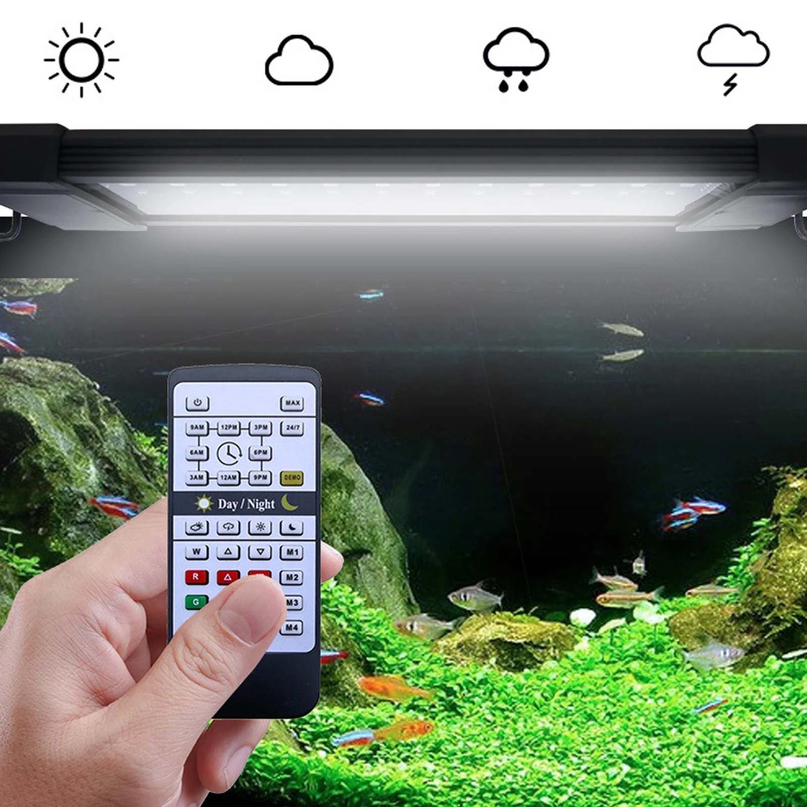 Liweida 24 Saat Doğal Işık Uza - Aquarium Plant Lab incelemesi ve fiyatı