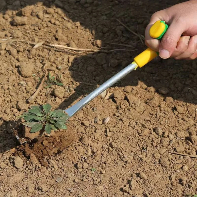 1 adet T şekilli maça paslanma - Tissue Culture Plant incelemesi ve fiyatı